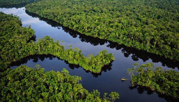 Pétrole en Amazonie : un fléau pour l'environnement