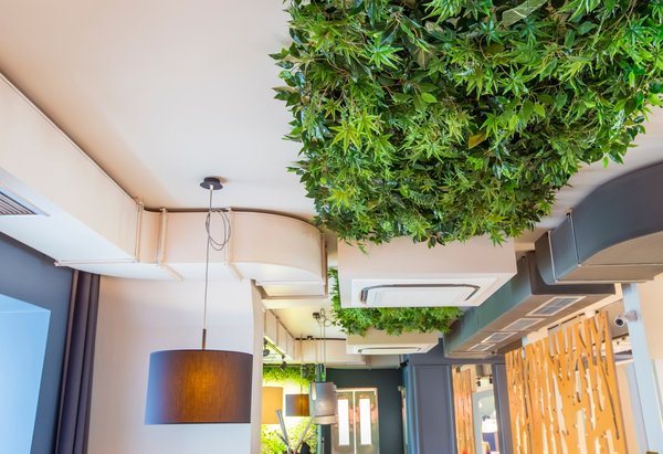 Décoration éco-responsable : alliez style et durabilité